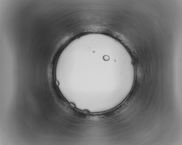 X0000110920679200907161519