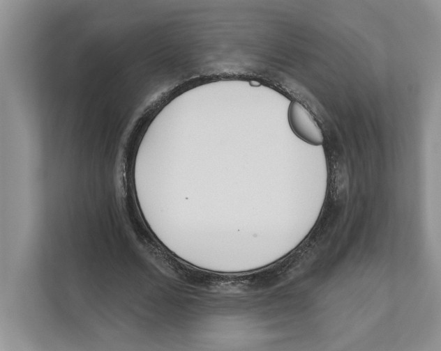 X0000110920680200907161519