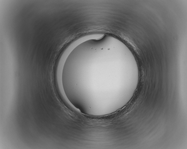 X0000110920681200907161519