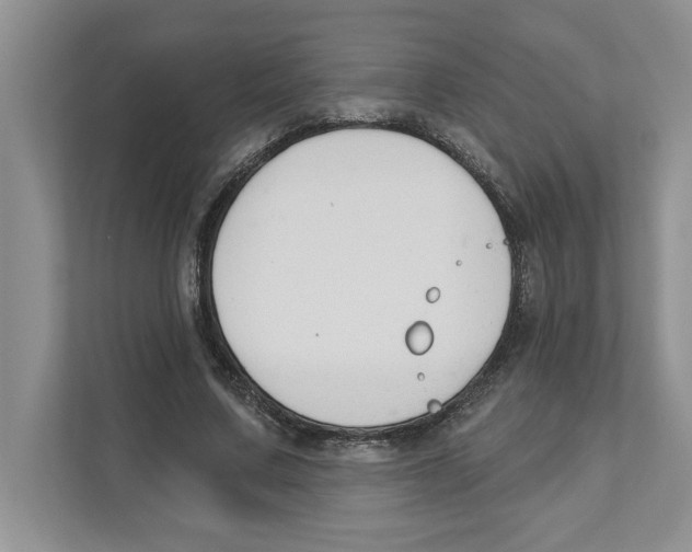 X0000110920683200907161519