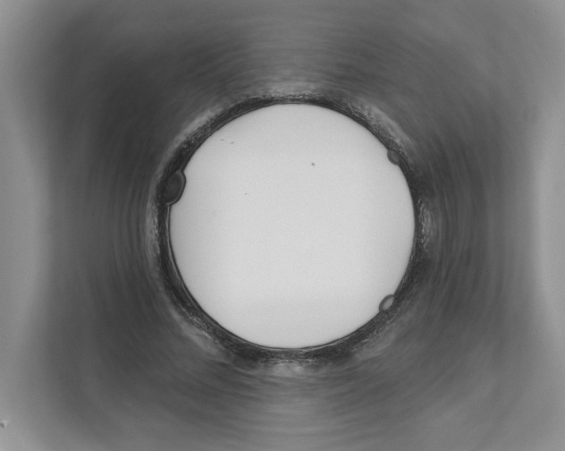 X0000110920684200907161519