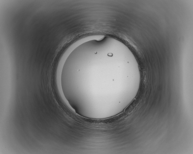 X0000110920685200907161519
