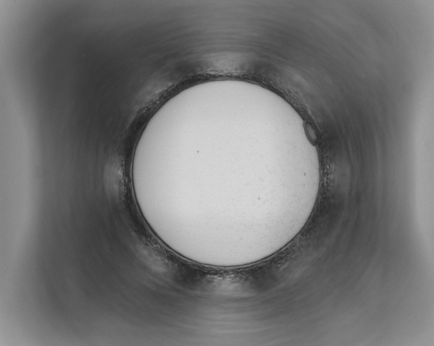 X0000110920688200907161519