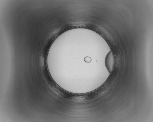 X0000110920692200907161519
