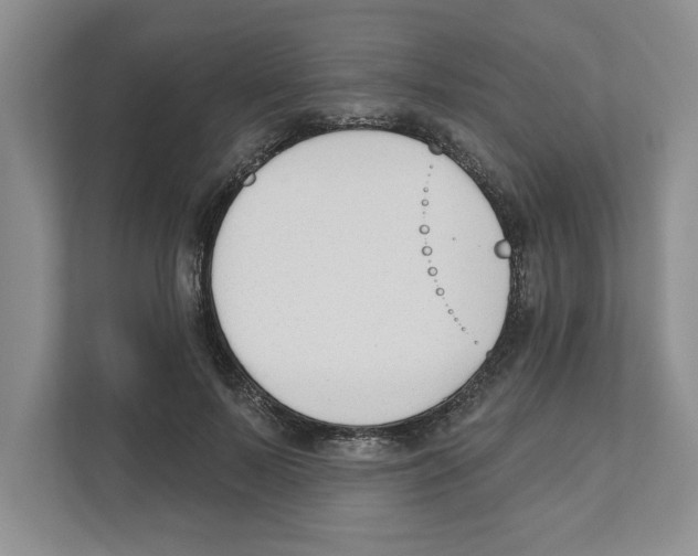 X0000110920695200907161519