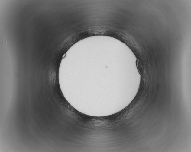 X0000110920697200907161519