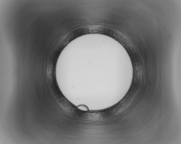 X0000110920698200907161519