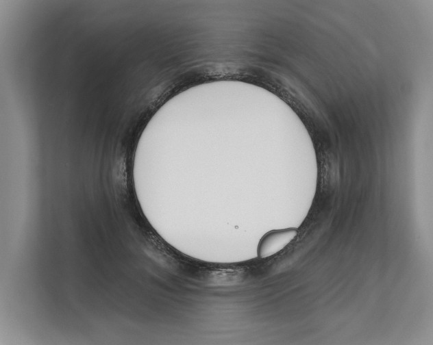 X0000110920700200907161519