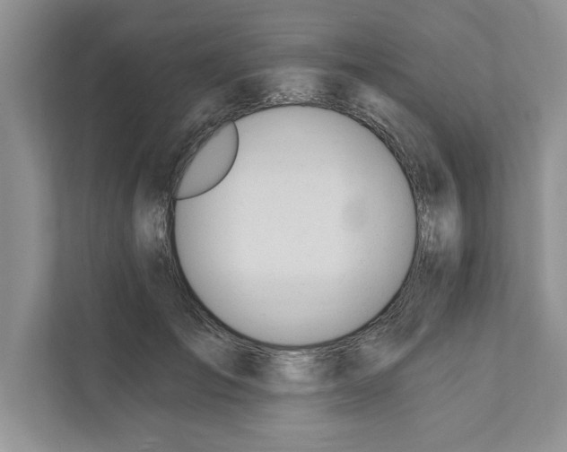 X0000110920701200907161519