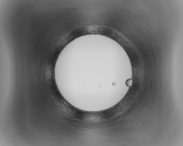 X0000110920702200907161519