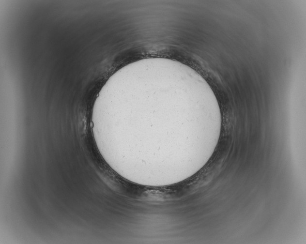 X0000110920703200907161519