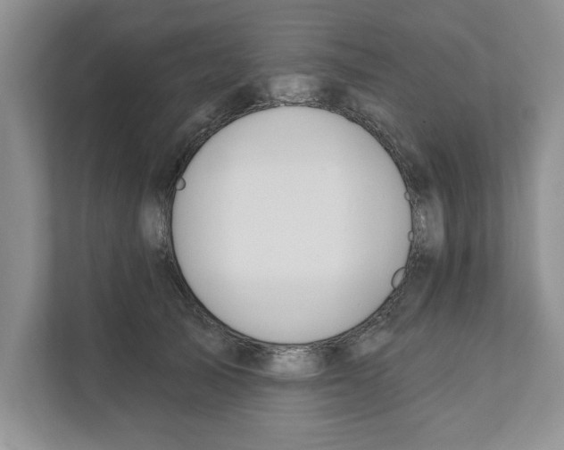 X0000110920705200907161519