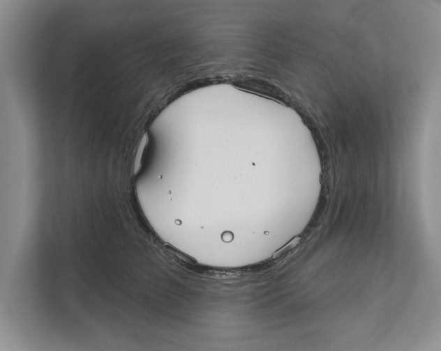 X0000110920709200907161519