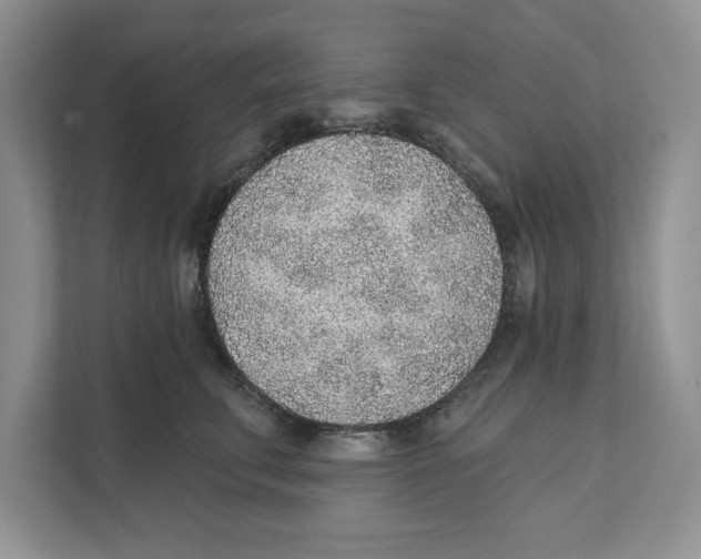 X0000110920711200907161519