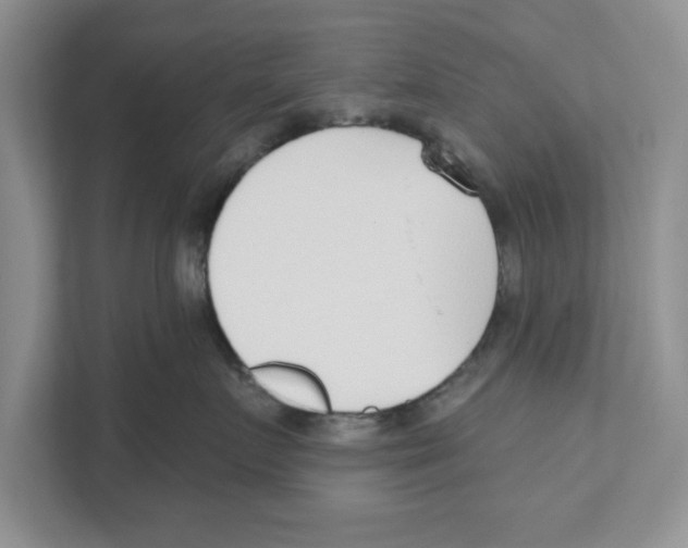 X0000110920719200907161519