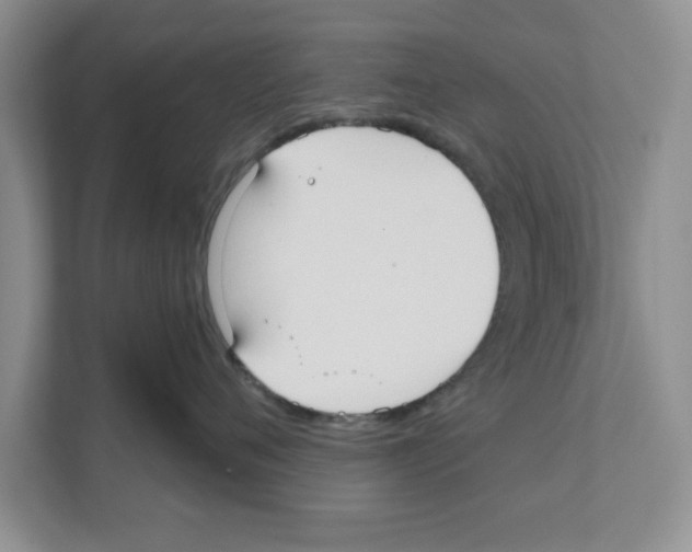 X0000110920720200907161519