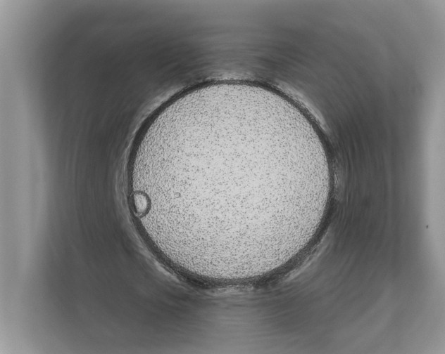 X0000110920721200907161518