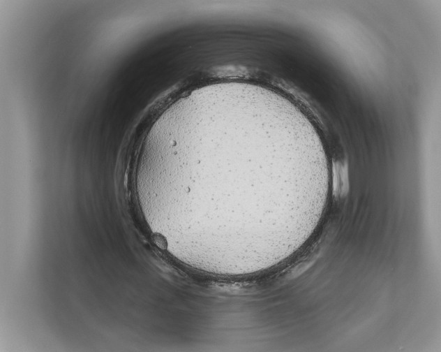 X0000110920723200907161518