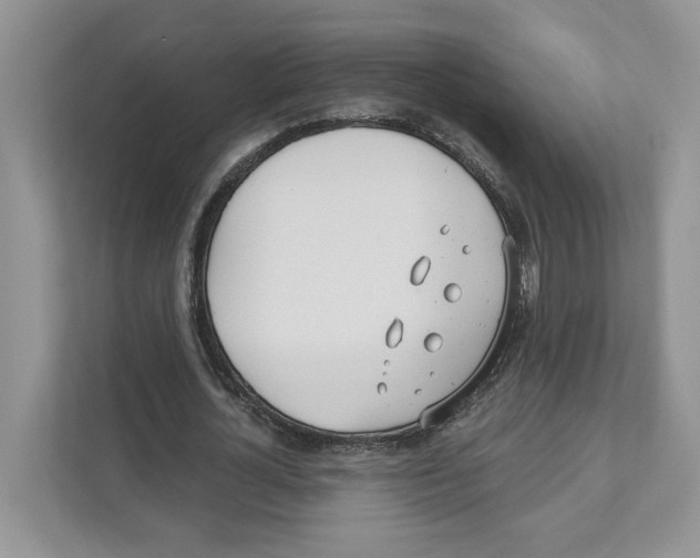 X0000110920724200907161518