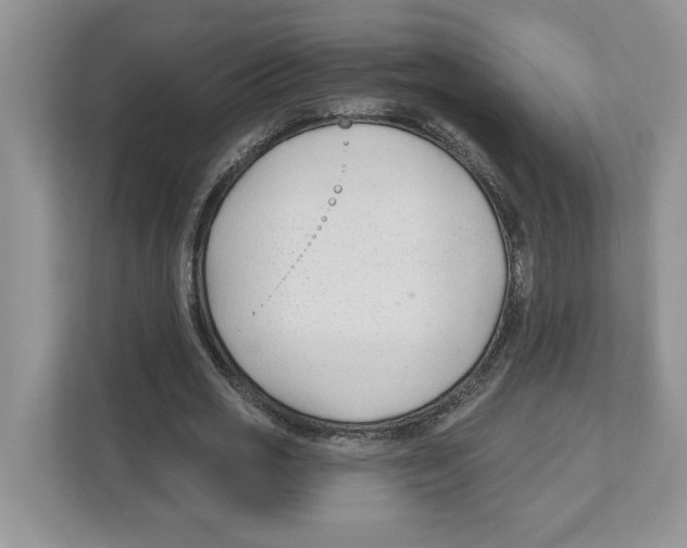 X0000110920725200907161518