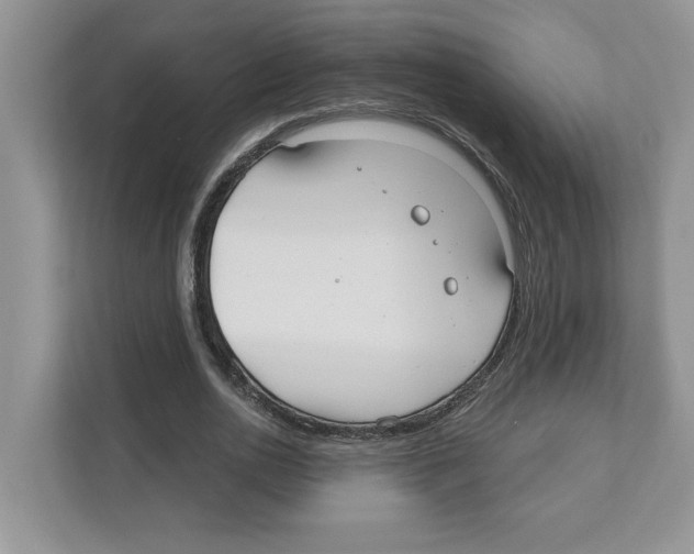 X0000110920726200907161518