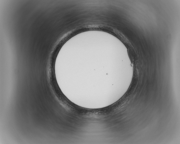 X0000110920728200907161518