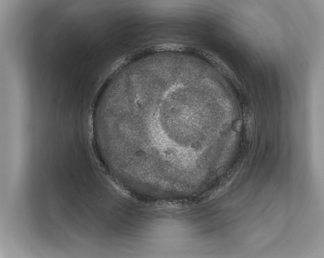 X0000110920729200907161518