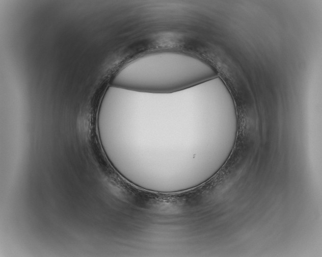 X0000110920736200907161518