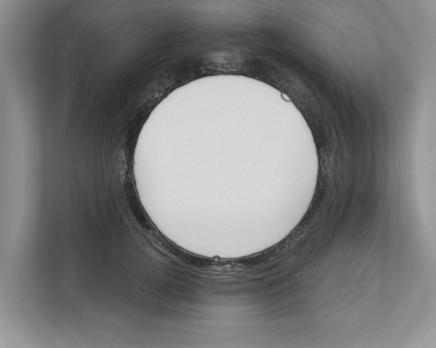 X0000110920752200907161519