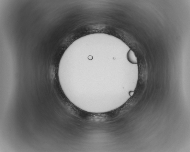X0000110920758200907161519
