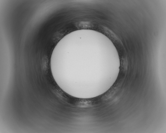 X0000110920760200907161519