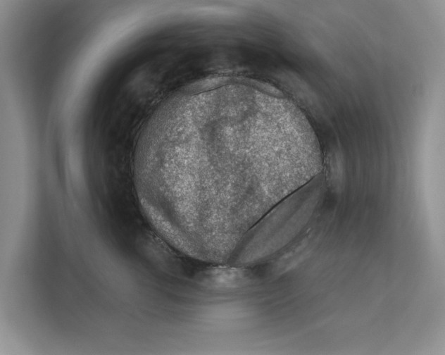 X0000110920762200907161519