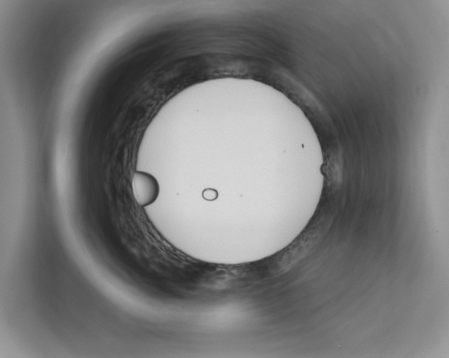 X0000110920764200907161519