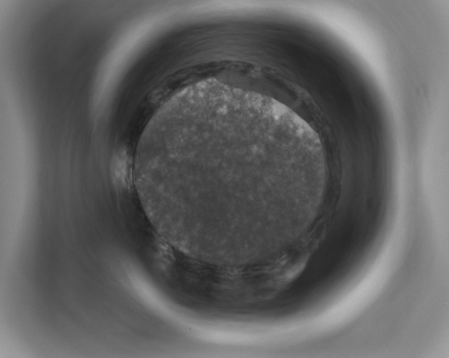 X0000110920766200907161519