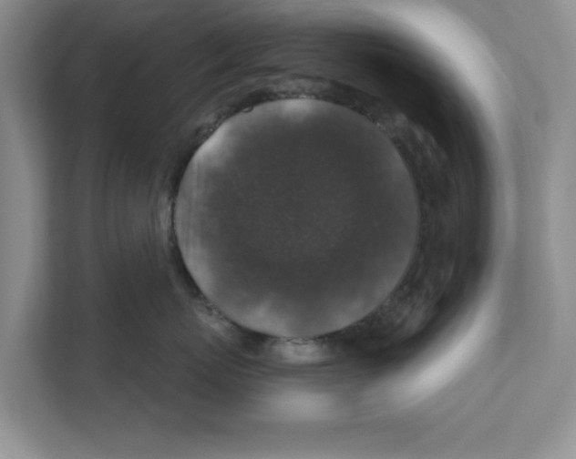 X0000110920767200907161519
