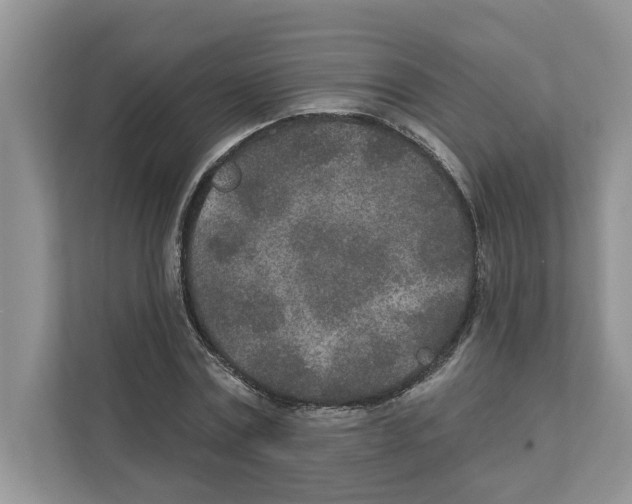 X0000110920779200907161518