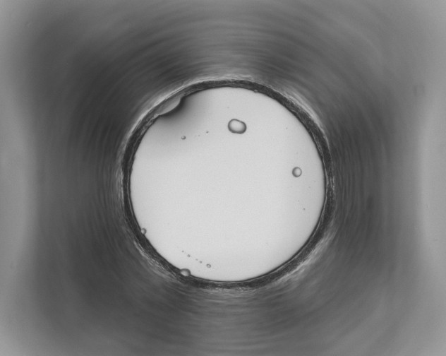 X0000110920781200907161518