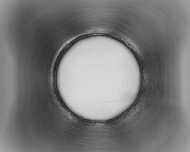 X0000110920784200907161518