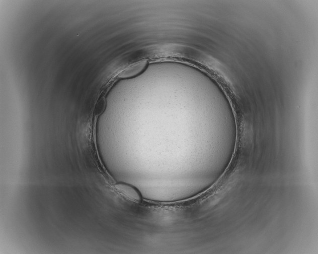 X0000110920785200907161518