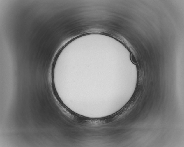 X0000110920795200907161518