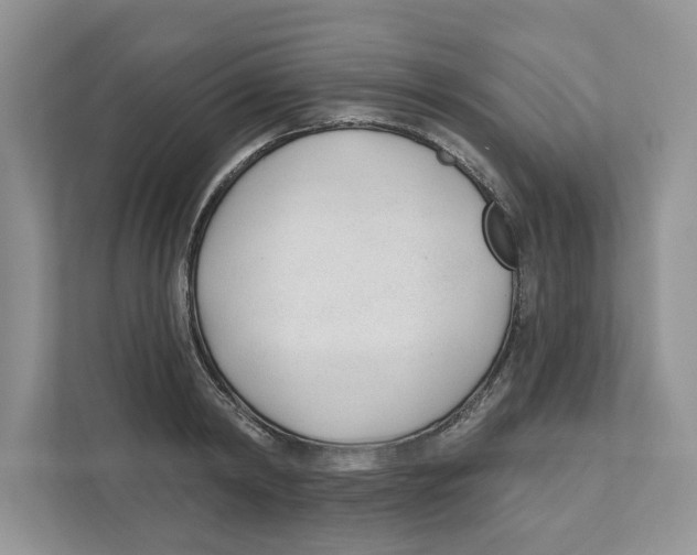 X0000110920798200907161518