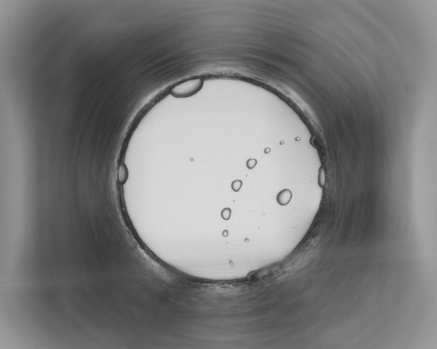 X0000110920799200907161518
