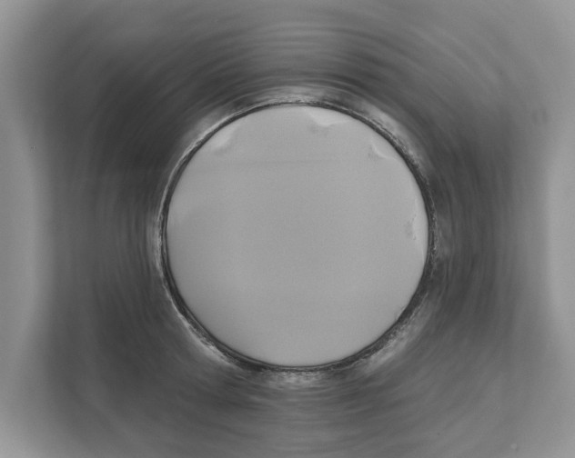 X0000110920802200907161518
