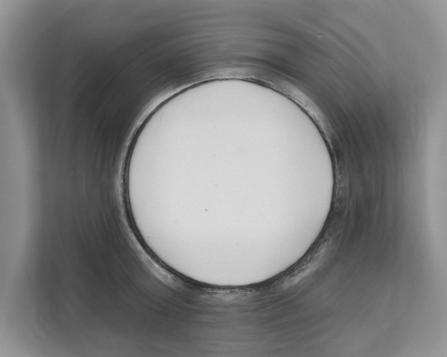 X0000110920803200907161518