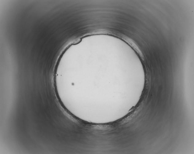 X0000110920805200907161518