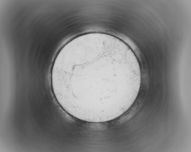 X0000110920807200907161518