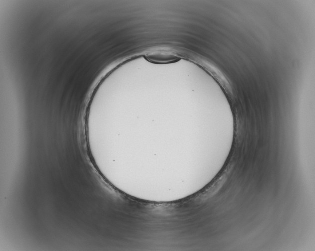 X0000110920808200907161518