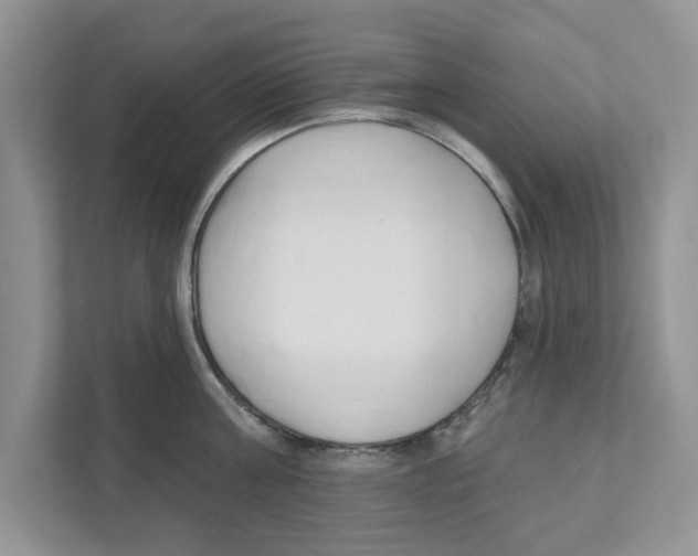 X0000110920811200907161518