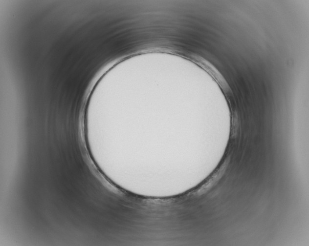 X0000110920812200907161518