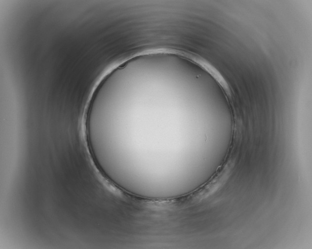 X0000110920813200907161518